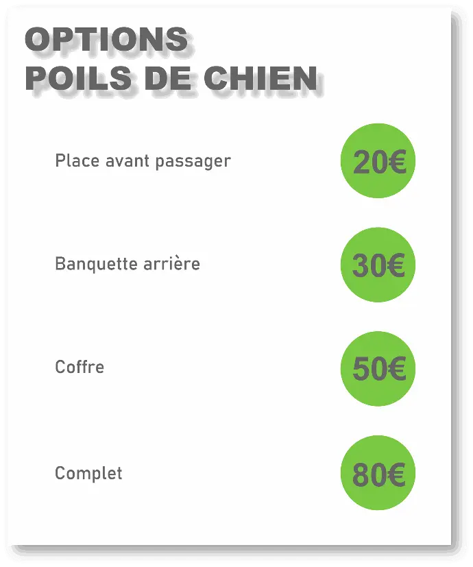 nettoyage voiture